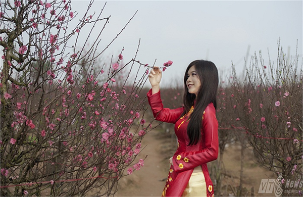 Mãn nhãn thiếu nữ Hà Thành đọ sắc bên hoa đào