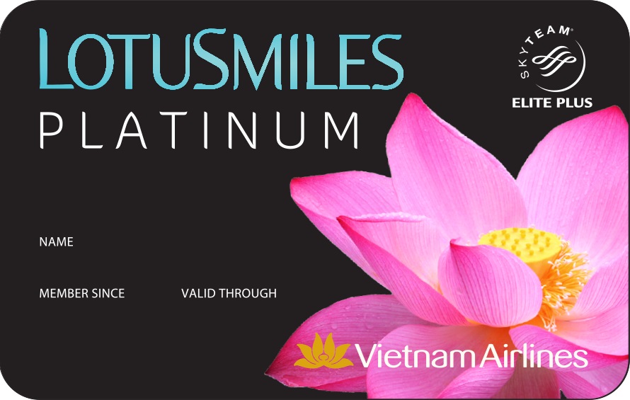 Tạo tài khoản Bông Sen Vàng ảo, gây thiệt hại cho Vietnam Airlines hơn 16 tỉ đồng
