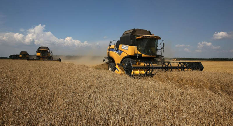 Bloomberg thừa nhận vị trí thống trị của Nga trên thị trường lúa mì thế giới