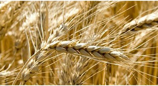 Bloomberg: Nga đã vượt mặt Mỹ trong 