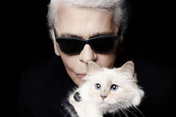Nhận tài sản thừa kế từ NTK Karl Lagerfeld, Choupette sẽ là chú mèo giàu nhất thế giới