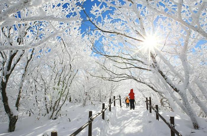 Cảnh thần tiên 'đẹp không lối thoát' trên đỉnh ngọn núi thu hút bậc nhất xứ Hàn