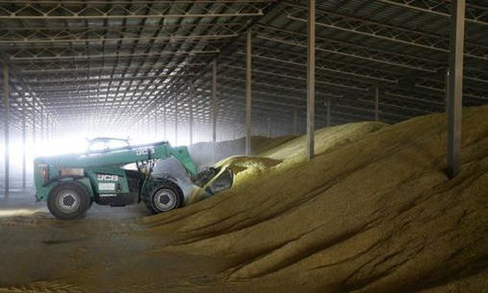 Ba Lan tạm ngừng nhập khẩu ngũ cốc của Ukraine