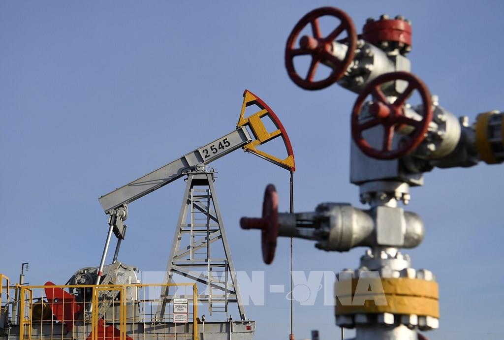 Nga sẽ áp dụng sắc lệnh cấm cung cấp dầu mỏ với các nước áp giá trần