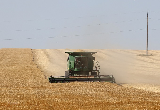 Nga cảnh báo có thể từ bỏ thỏa thuận xuất khẩu ngũ cốc
