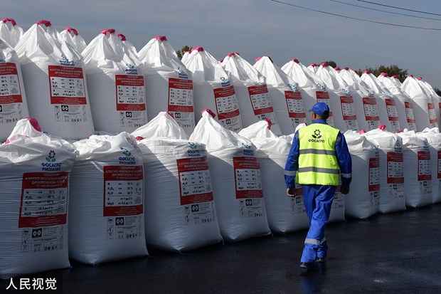 Nga: Vấn đề xuất khẩu phân bón chưa được giải quyết triệt để