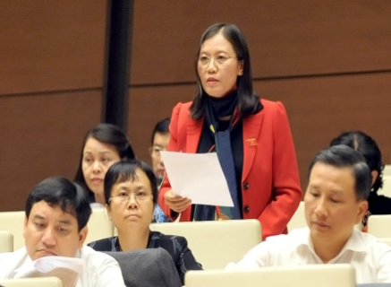 Bổ nhiệm ''đúng quy trình'' là ''bà đỡ