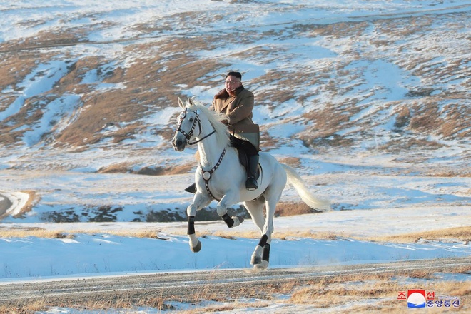 Triều Tiên chi hơn 75.000 USD mua ngựa thuần chủng từ Nga