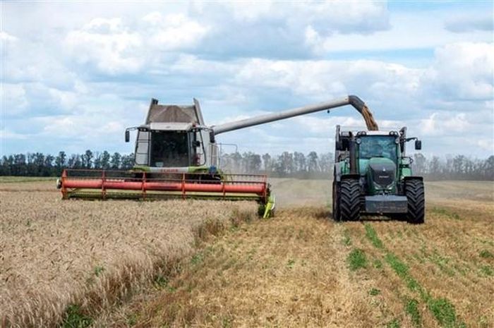 Ukraine bắt đầu đàm phán gia hạn thỏa thuận xuất khẩu ngũ cốc