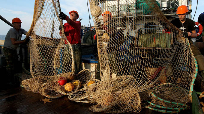 Bị Trung Quốc áp đặt hạn chế, ngư dân Liên bang Nga sẽ đưa cá sang Việt Nam