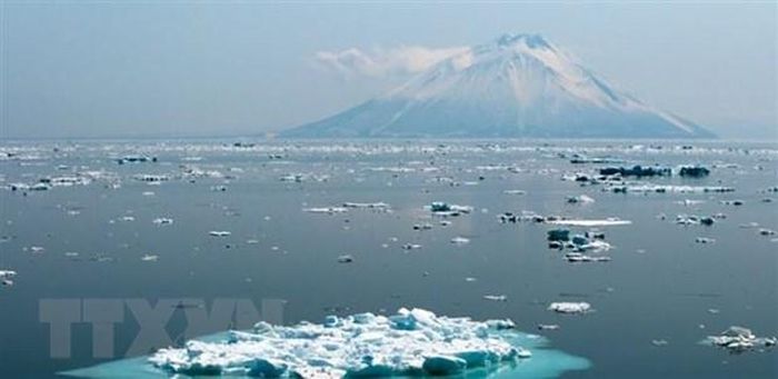 Nhật có thể phải hoãn đánh bắt cá trên vùng biển tranh chấp với Nga