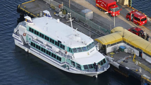 Nhật Bản: Tàu cao tốc cánh ngầm đâm vào cá voi, 87 người bị thương