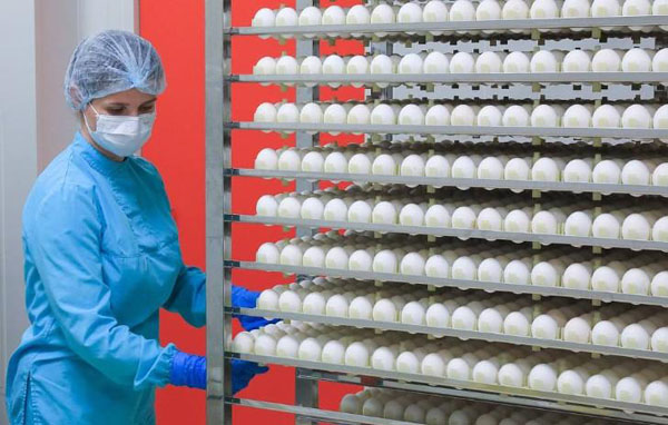Nga phát triển công nghệ chiếu xạ trứng gà vịt an toàn
