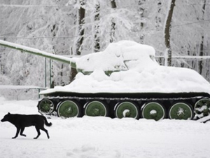 Nga: 123 người đã chết vì giá rét