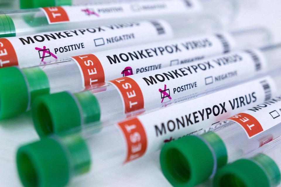 EU cấp tốc mua 110.000 liều vắc-xin phòng đậu mùa khỉ