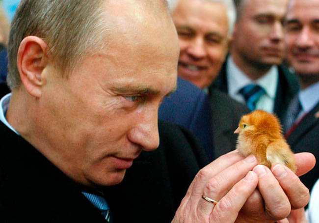 Loạt khoảnh khắc đời thường ấn tượng của Tổng thống Putin