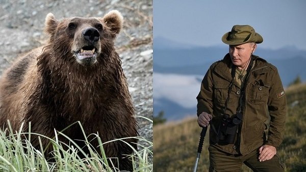Putin kể chuyện bị gấu bao vây ở Siberia