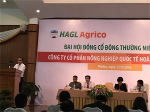 Bầu Đức tính bán 20.000 ha cao su cho đối tác Trung Quốc