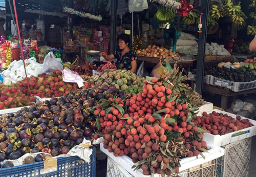 Hàng Việt chịu sức ép tại Lào