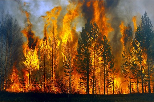 Cháy rừng dữ dội ở Nga tràn qua Trung Quốc