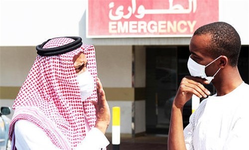 Bệnh dịch chết chóc đã lan tới Hàn Quốc