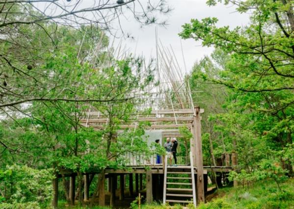 Bí ẩn trong ngôi nhà gỗ giữa rừng của cô gái người Việt ở Pháp