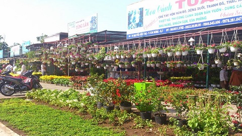 Chợ hoa ế sưng, quý bà sắm Tết bằng thẻ ghi nợ