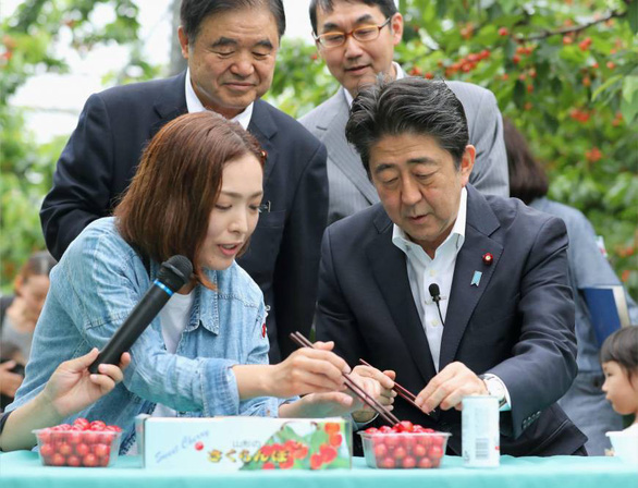 Thủ tướng Nhật 'lội ngược dòng': Đừng xem nhựa là kẻ thù!