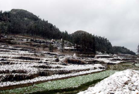 Tuyết lại phủ trắng Sa Pa, Mèo Vạc