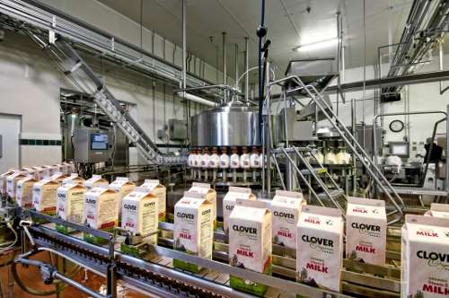 Bơ sữa của Iran được phép vào thị trường Nga