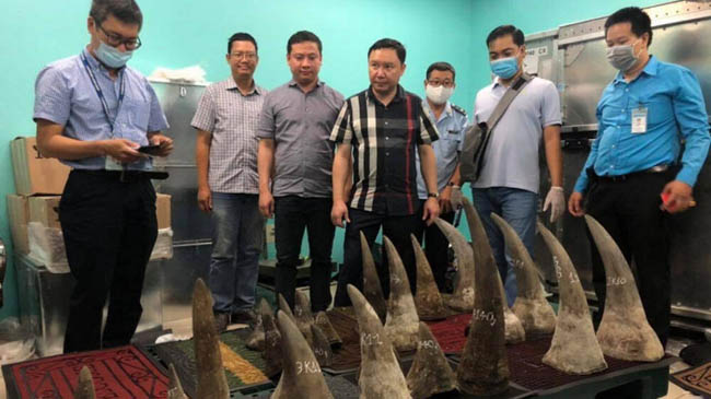 Lô hàng 93 kg nghi là sừng tê giác nhập lậu qua sân bay Tân Sơn Nhất