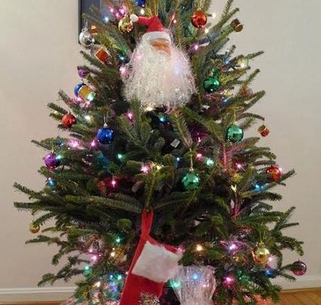 Cây thông Noel và bài học về hạnh phúc