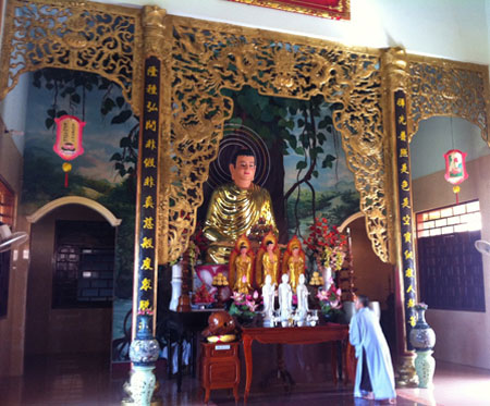 Đàn rắn nghe kinh rơi lộp bộp trong ngôi chùa hơn 200 tuổi