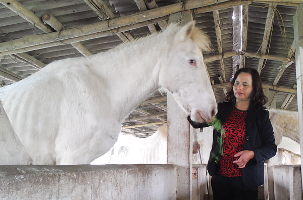Người đàn bà “săn” bạch mã