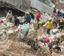 'Hôi của' man rợ ở Quảng Bình thổi bùng ngọn lửa căm phẫn