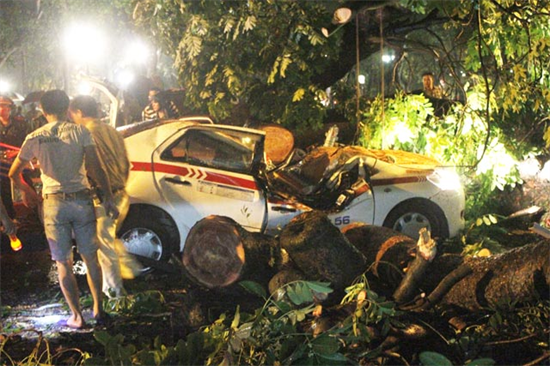 Kinh hoàng cây đổ đè ngang xe taxi, tài xế tử vong tại chỗ