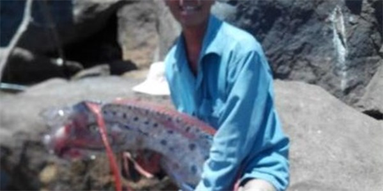 Dân Đà Nẵng câu được thủy quái giống rồng dài 4,2 mét