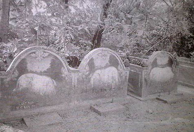 Lợn 'thành tinh' báo oán chủ lò mổ