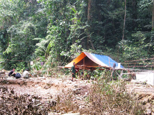 Vụ thảm sát 5 thợ rừng: Bắt được 2 nghi phạm đầu tiên