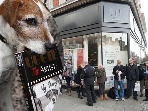 Xếp hàng dài chờ được... chó 