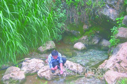 Kỳ lạ nguồn suối lạnh chữa được bệnh ở cao nguyên đá Đồng Văn