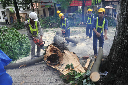 Cách chức, buộc thôi việc lãnh đạo doanh nghiệp công ích nhận lương 'khủng'