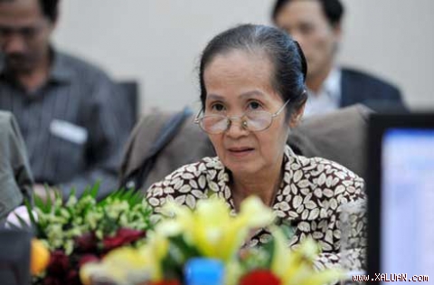 ‘Việt Nam không nên để lỡ cơ hội vượt qua khủng hoảng’