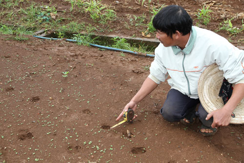 'Thú lạ' gây hoang mang trong khu dân cư