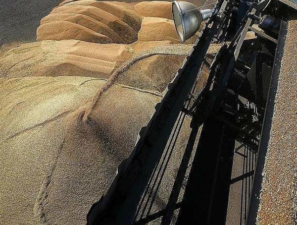 Nga viện trợ nhân đạo hơn 2.000 tấn lúa mì cho Triều Tiên