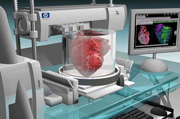 Công nghệ in 3D tạo ra nội tạng con người