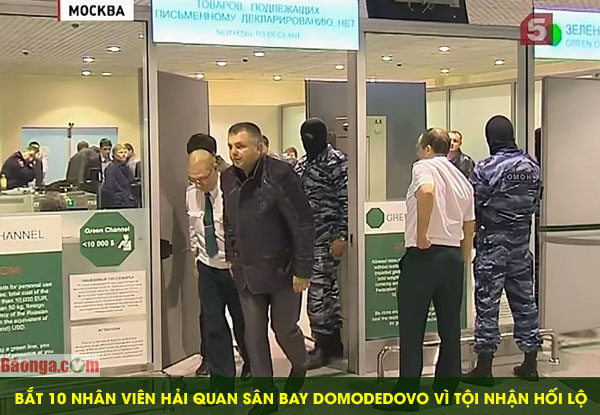 Bắt 10 nhân viên hải quan sân bay Domodedovo vì tội nhận hối lộ
