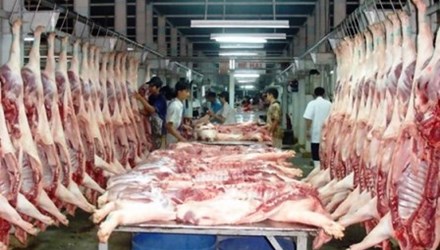 Thịt gà, lợn từ châu Âu sẽ ồ ạt vào Việt Nam?