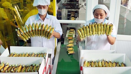 Đại gia Indonesia tung 40 triệu USD mua hãng bánh quy Việt Nam