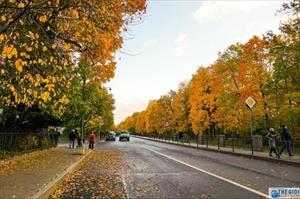 Đắm chìm trong đặc sản mùa thu 